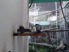 -成都动物园