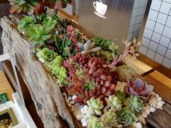 -候鸟等风来·精致西厨(万科第五城店)