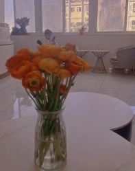 点击看大图 -亚太瑜伽普拉提学院