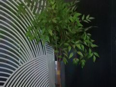-华夏良子·足道SPA艾灸(金皇大厦店)