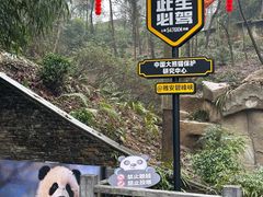 -中国大熊猫保护研究中心雅安碧峰峡基地