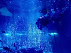 -沈阳海洋探索中心