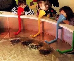 -北京科学中心儿童乐园