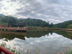 -神光山国家森林公园