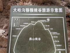 -大岭沟猕猴桃谷风景区