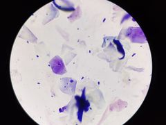 -芭比堂动物医院广州顽皮分院