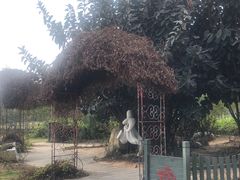-亚龙湾国际玫瑰谷
