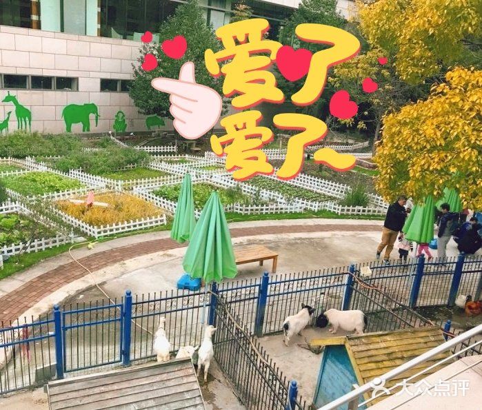 欢乐的农场，欢乐的时光！
