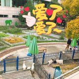欢乐的农场，欢乐的时光！