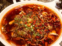 -庆合府重庆大排档(紫都城店)