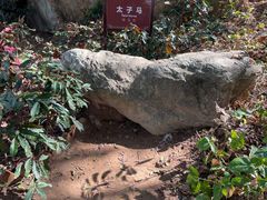 -宋井风景区