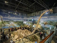 -自贡恐龙博物馆