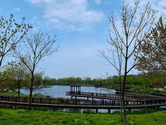 -羊亭河湿地公园