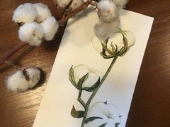 -六出私塾LiuChu•成人美术书法系统课程专业画室(熊婆婆的花园店)