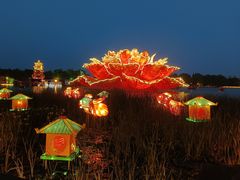 -洛阳市隋唐城遗址植物园