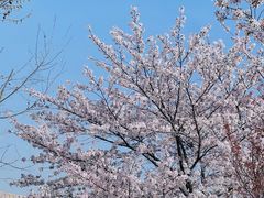 -龙美术馆(西岸馆)