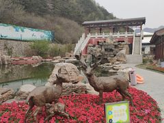 -京东石林峡风景区
