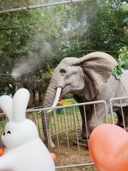 -萌宠亲子动物乐园(槐房万达店)