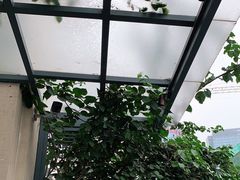 -真味汤馆(汽博店)