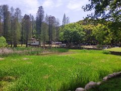 -青龙山国家森林公园