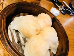-颐和•海鲜砂锅粥•啫啫煲(奥林匹克广场店)