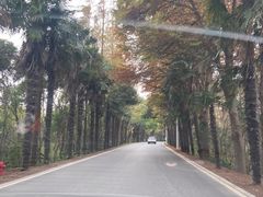 -上海海湾国家森林公园