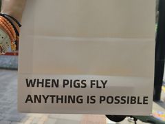 -WHEN PIGS FLY当猪飞