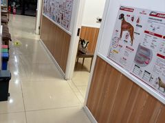 -宠福鑫动物医院(望京分院)