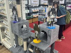 -Animate(秋叶原本馆)