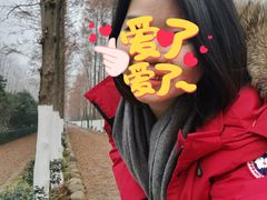 -合肥滨湖国家森林公园