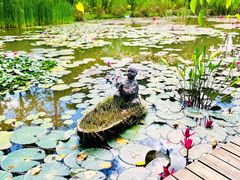 -中国科学院西双版纳热带植物园