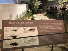 -北京周口店北京人遗址博物馆