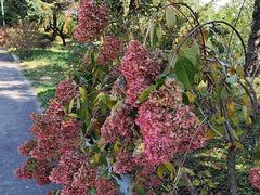 -丹东市五龙山风景区