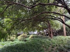 -中国茶叶博物馆(双峰馆区)