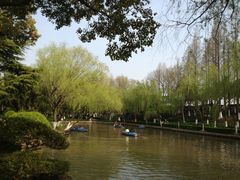 -瀛洲公园
