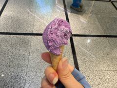 -鹤茶野所(上海首店)