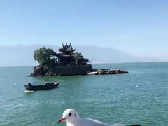 -小普陀