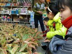 -丰台科技园生态主题公园