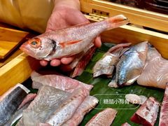 -镹·鱼料理  国产鱼使用店