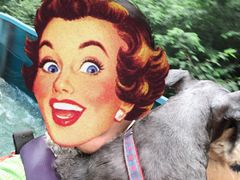 -十渡东湖港风景区