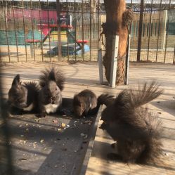 -萌宠亲子动物乐园(槐房万达店)