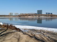 -大兴滨河森林公园