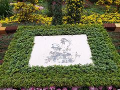 -汇龙潭
