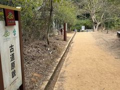 -羚羊峡古栈道森林公园