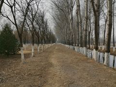 -东郊湿地公园