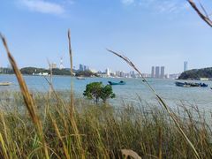 -海沧湾公园