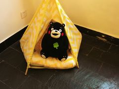 -阿狗圆子