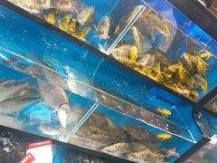水产区-盒马鲜生(曜一城店)