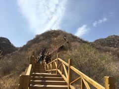 -大岭沟猕猴桃谷风景区