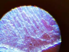 -斯坦星球AI编程·机器人科创·科学实验·信奥·思维·STEM·积木拼搭·竞赛考级(浦东联洋广场大拇指龙阳御桥中心)